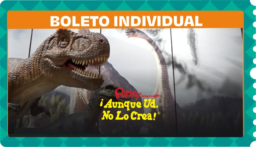 MUSEO DE RIPLEY VERACRUZ